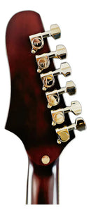 Guitarra Electroacústica Tagima Rio Negro